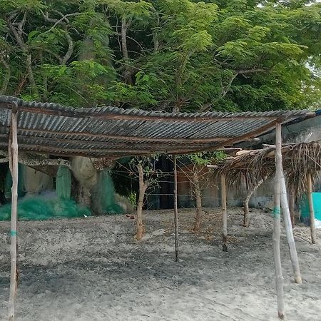 Taca Tucan Hostel Плайя-Бланка Экстерьер фото